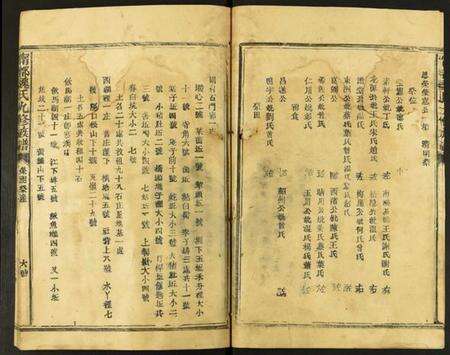 江西魏氏族谱-甯都魏氏九修族谱.pdf电子版预览图2