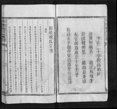 江西魏氏族谱-田饶魏氏宗谱[4卷].pdf电子版预览图2