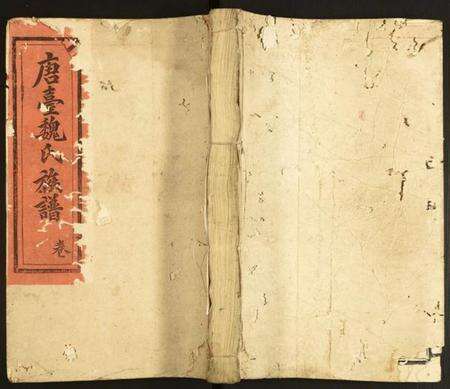 江西魏氏族谱-石城唐台魏氏十三修谱.pdf电子版缩略图