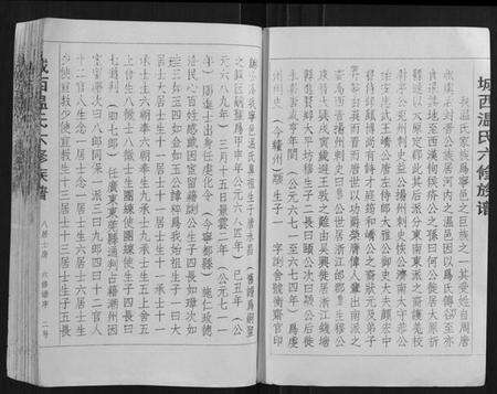 江西温氏族谱-城西温氏六修族谱[不分卷].pdf电子版预览图2