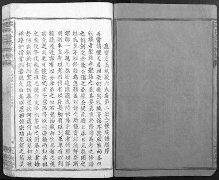 江西温氏族谱-温氏何修族谱[不分卷].pdf电子版预览图2