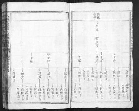 江西温氏族谱-石城太原温氏重修族谱.pdf电子版预览图4