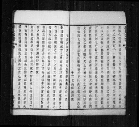 江苏孙氏族谱-孙氏宗谱.pdf电子版预览图2