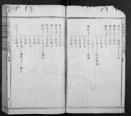 江西温氏族谱-石城联芳温氏十三修族谱[30卷,首1卷].pdf电子版预览图4