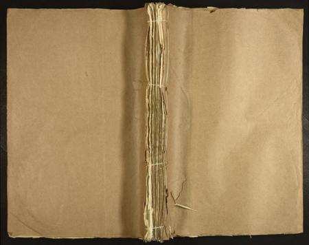 江西温氏族谱-雩阳虎溪温氏九修大宗谱.pdf电子版缩略图