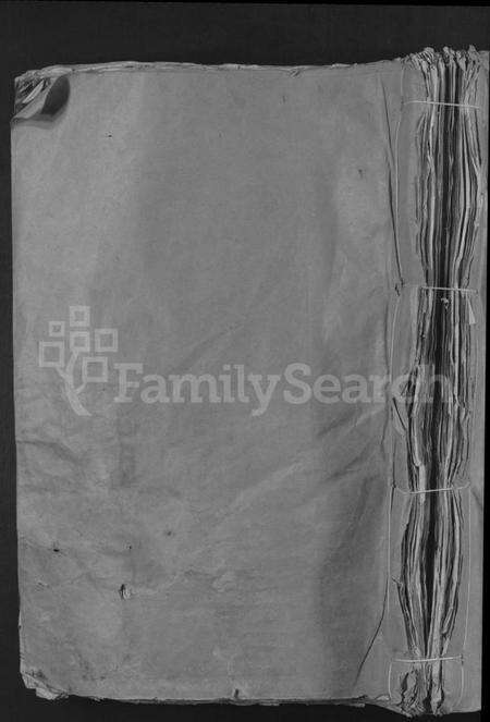 江西温氏族谱-雩阳虎溪温氏九修大宗谱 [不分卷].pdf电子版缩略图