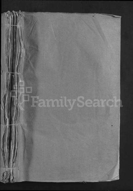 江西温氏族谱-雩阳虎溪温氏九修大宗谱 [不分卷].pdf电子版预览图1