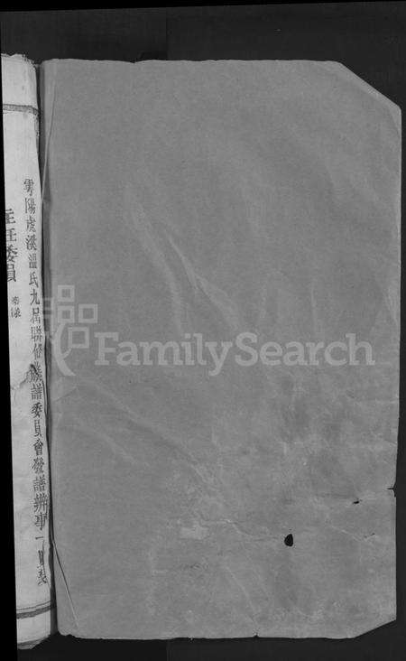 江西温氏族谱-雩阳虎溪温氏九修大宗谱 [不分卷].pdf电子版预览图2