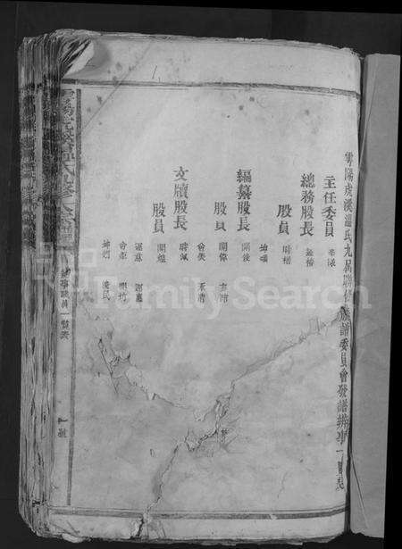 江西温氏族谱-雩阳虎溪温氏九修大宗谱 [不分卷].pdf电子版预览图3