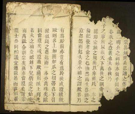 江西巫氏族谱-古丰中村巫氏宗谱.pdf电子版预览图2