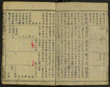 江西吴氏族谱-吴氏宗谱 [存55卷及卷首].pdf电子版预览图3