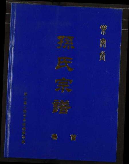 湖北孙氏族谱-孙氏宗谱.pdf电子版缩略图