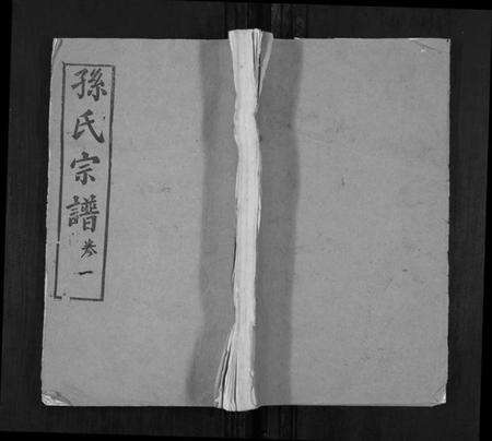 湖北孙氏族谱-孙氏宗谱.pdf电子版缩略图