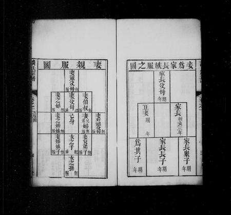 湖北谈氏族谱-谈氏宗谱 [残卷].pdf电子版预览图5