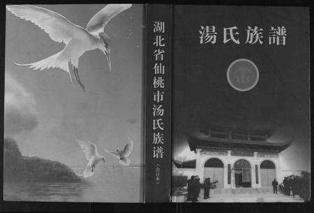 湖北汤氏族谱-汤氏族谱.pdf电子版缩略图