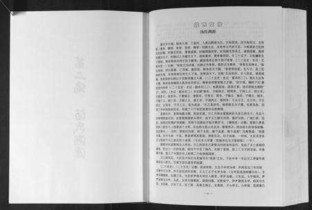 湖北汤氏族谱-汤氏族谱.pdf电子版预览图4