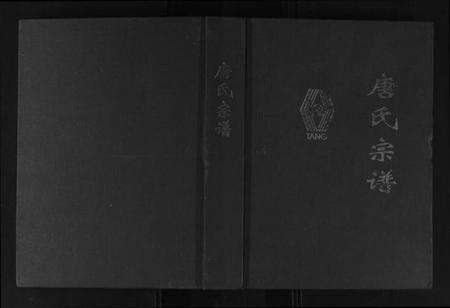 四川唐氏族谱-唐氏宗谱.pdf电子版缩略图