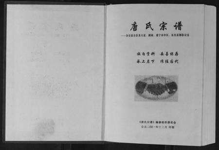 四川唐氏族谱-唐氏宗谱.pdf电子版预览图1