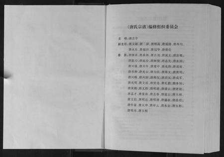 四川唐氏族谱-唐氏宗谱.pdf电子版预览图2