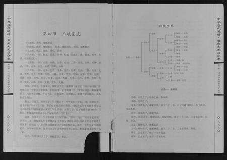 四川唐氏族谱-中华唐氏通谱重庆大足区分卷.pdf电子版预览图1
