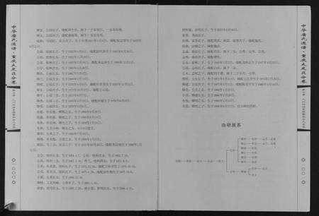 四川唐氏族谱-中华唐氏通谱重庆大足区分卷.pdf电子版预览图2