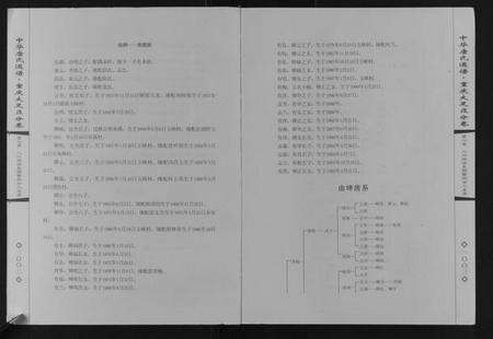 四川唐氏族谱-中华唐氏通谱重庆大足区分卷.pdf电子版预览图3