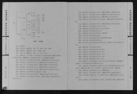 四川唐氏族谱-中华唐氏通谱重庆大足区分卷.pdf电子版预览图5