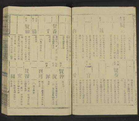 江西吴氏族谱-吴氏宗谱[未标明卷数].pdf电子版预览图2