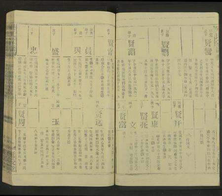 江西吴氏族谱-吴氏宗谱[未标明卷数].pdf电子版预览图4