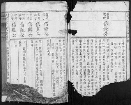 江西吴氏族谱-吴氏重修族谱[不分卷].pdf电子版预览图3