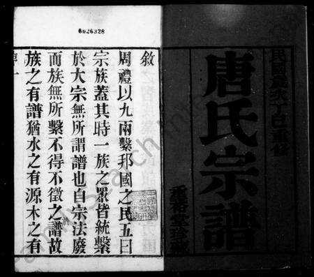 江苏唐氏族谱-唐氏宗谱 [12卷,首1卷].pdf电子版预览图1