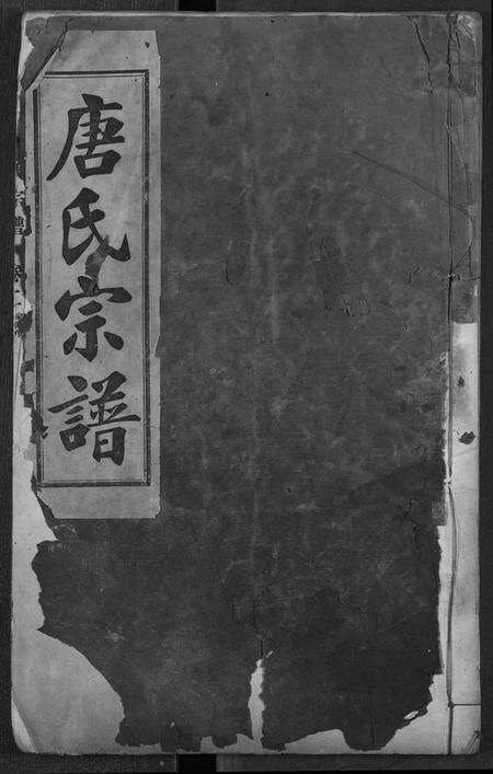 湖北唐氏族谱-唐氏宗谱.pdf电子版缩略图