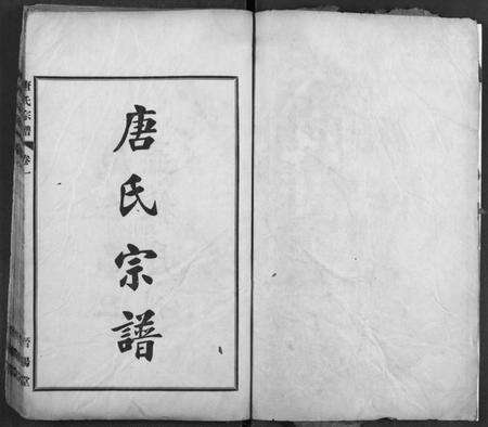 湖北唐氏族谱-唐氏宗谱.pdf电子版预览图2