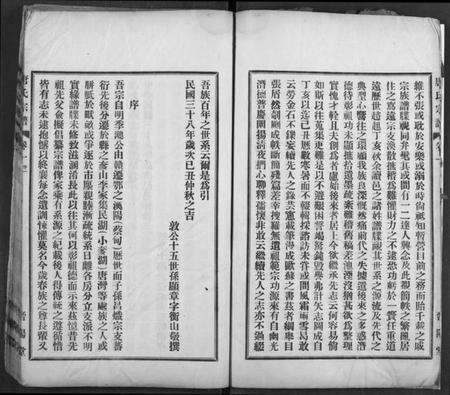 湖北唐氏族谱-唐氏宗谱.pdf电子版预览图4