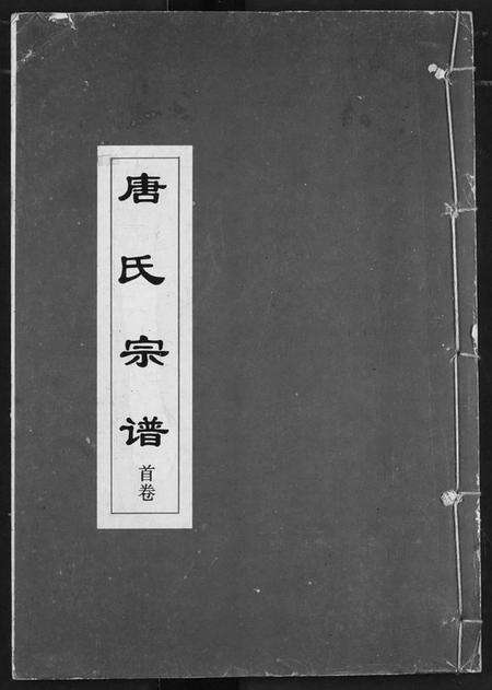 湖北唐氏族谱-唐氏宗谱.pdf电子版缩略图