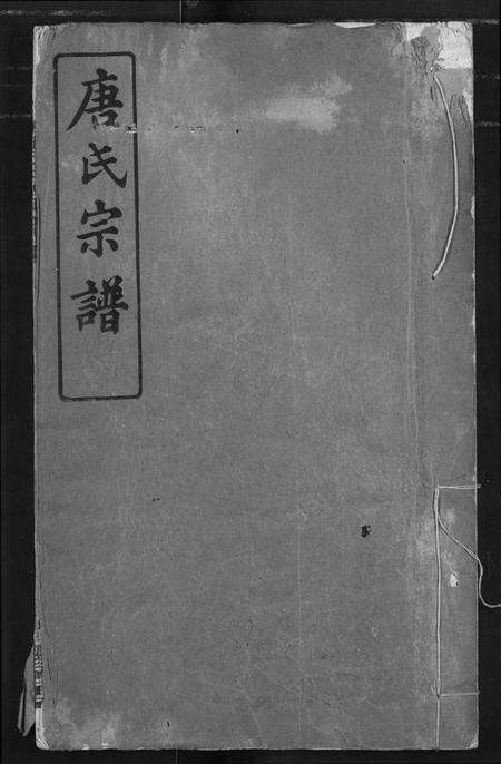 湖北唐氏族谱-唐氏宗谱.pdf电子版缩略图