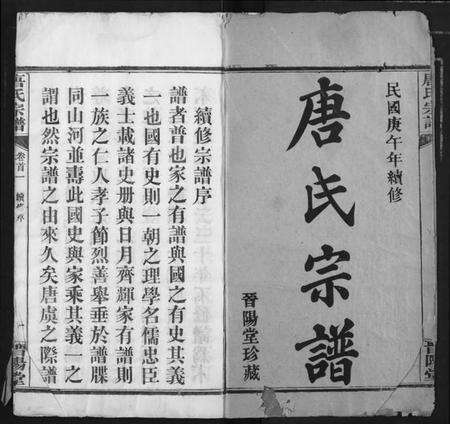 湖北唐氏族谱-唐氏宗谱.pdf电子版预览图2