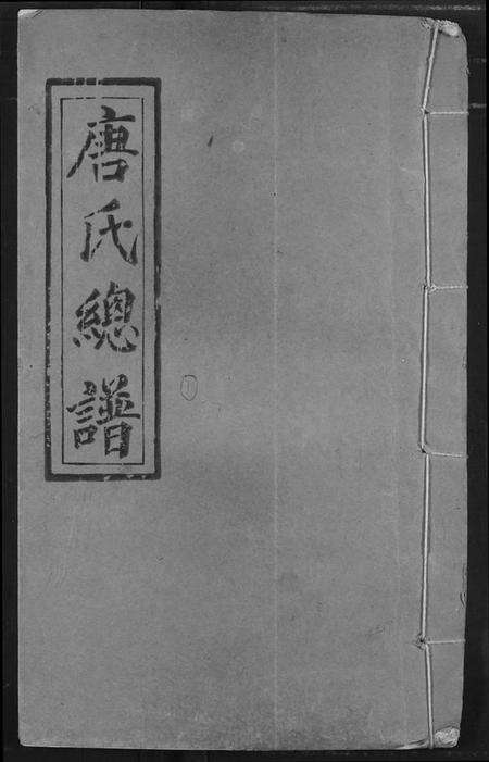 湖北唐氏族谱-唐氏家乘.pdf电子版缩略图