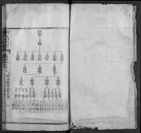 湖北陶氏族谱-陶氏宗谱.pdf电子版预览图2