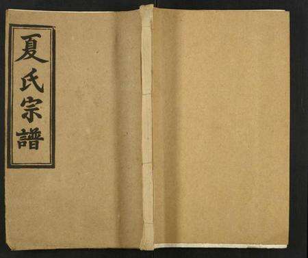 江西夏氏族谱-夏氏宗谱.pdf电子版缩略图