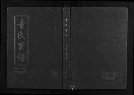 湖北童氏族谱-童氏宗谱.pdf电子版缩略图