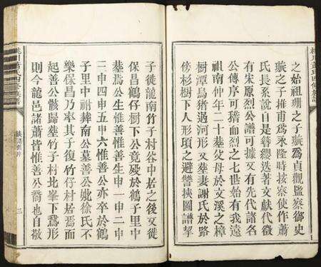 江西萧氏族谱-桃川萧氏四修族谱.pdf电子版预览图5