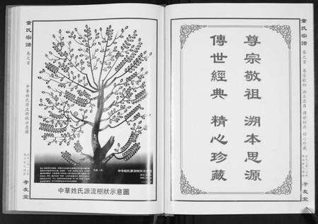 湖北童氏族谱-童氏宗谱.pdf电子版预览图2