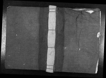 江西萧氏族谱-兴邑文溪萧氏七修族谱[不分卷].pdf电子版缩略图