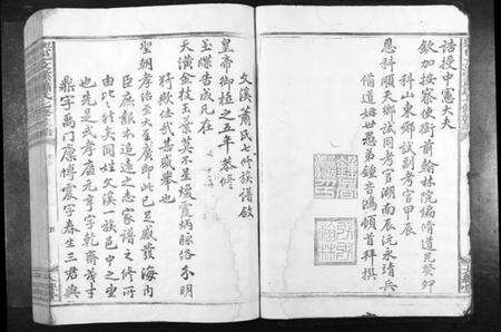 江西萧氏族谱-兴邑文溪萧氏七修族谱[不分卷].pdf电子版预览图4