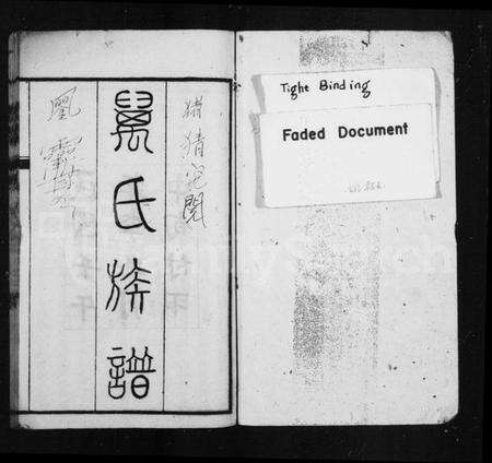 四川万氏族谱-万氏族谱 [14卷, 首末各1卷].pdf电子版预览图1