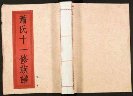 江西萧氏族谱-兰陵萧氏十一修族谱.pdf电子版缩略图