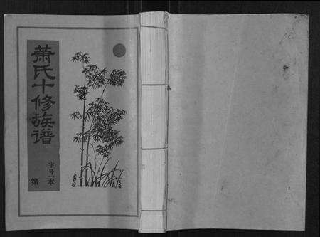 江西萧氏族谱-兰陵萧氏十修族谱[不分卷].pdf电子版缩略图