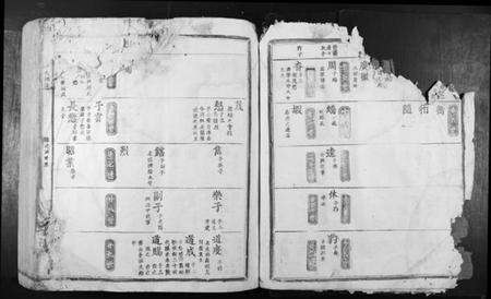 江西萧氏族谱-赤岭萧氏族谱.pdf电子版预览图3