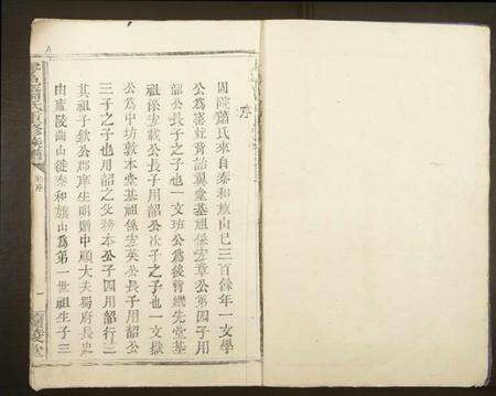 江西萧氏族谱-雩邑萧氏重修族谱.pdf电子版预览图1